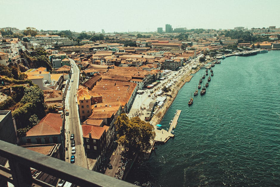 advogada vila nova de gaia 1