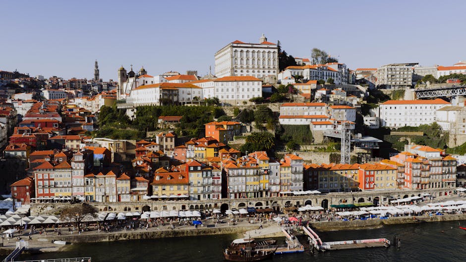advogada vila nova de gaia 2